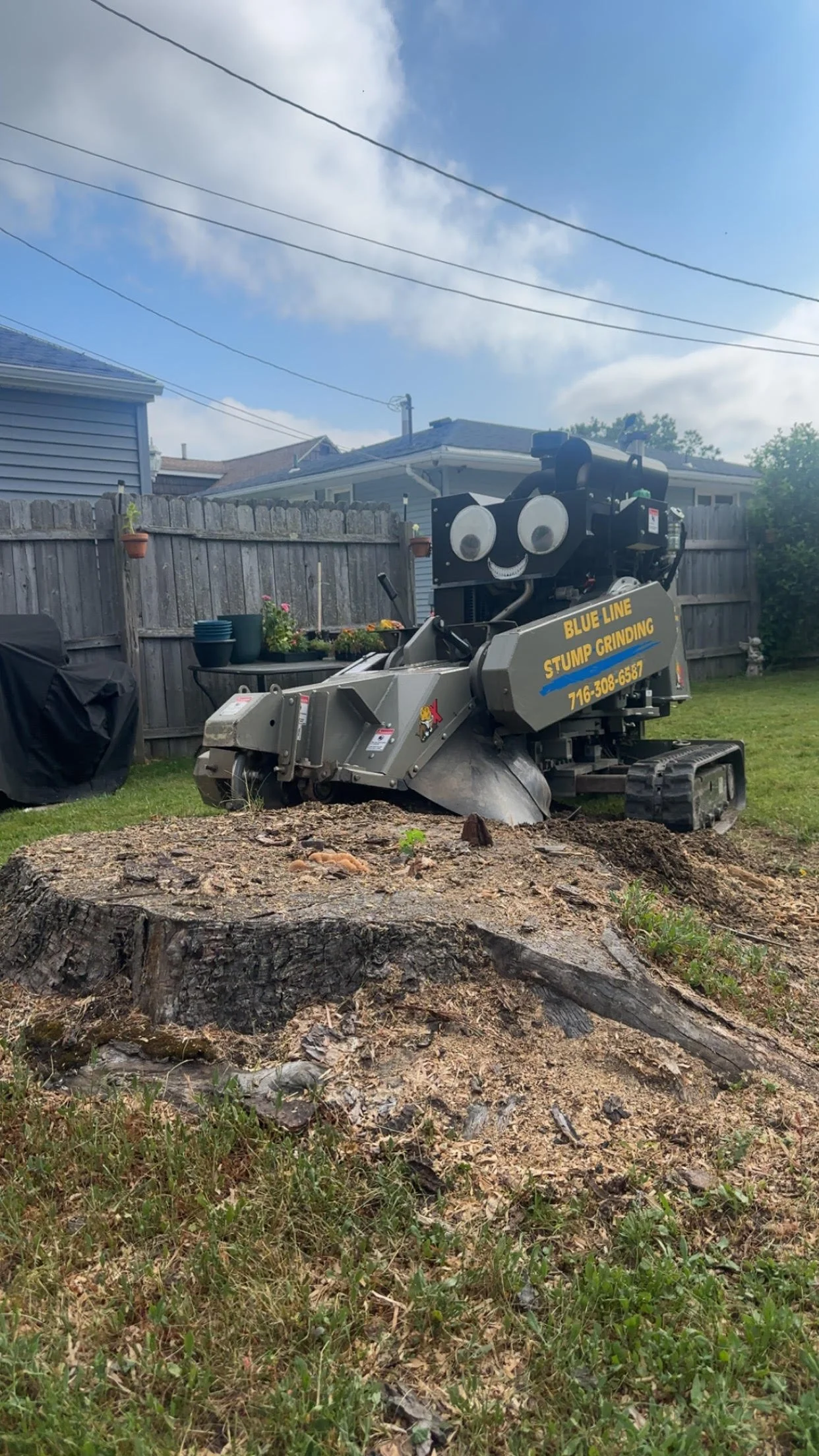 A stump grinding machine with a cartoon face is in a backyard, grinding a large tree stump. The machine is labeled 'Blue Line Stump Grinding' with a phone number. The sky is partly cloudy, and there is a wooden fence with potted plants on top behind the machine.