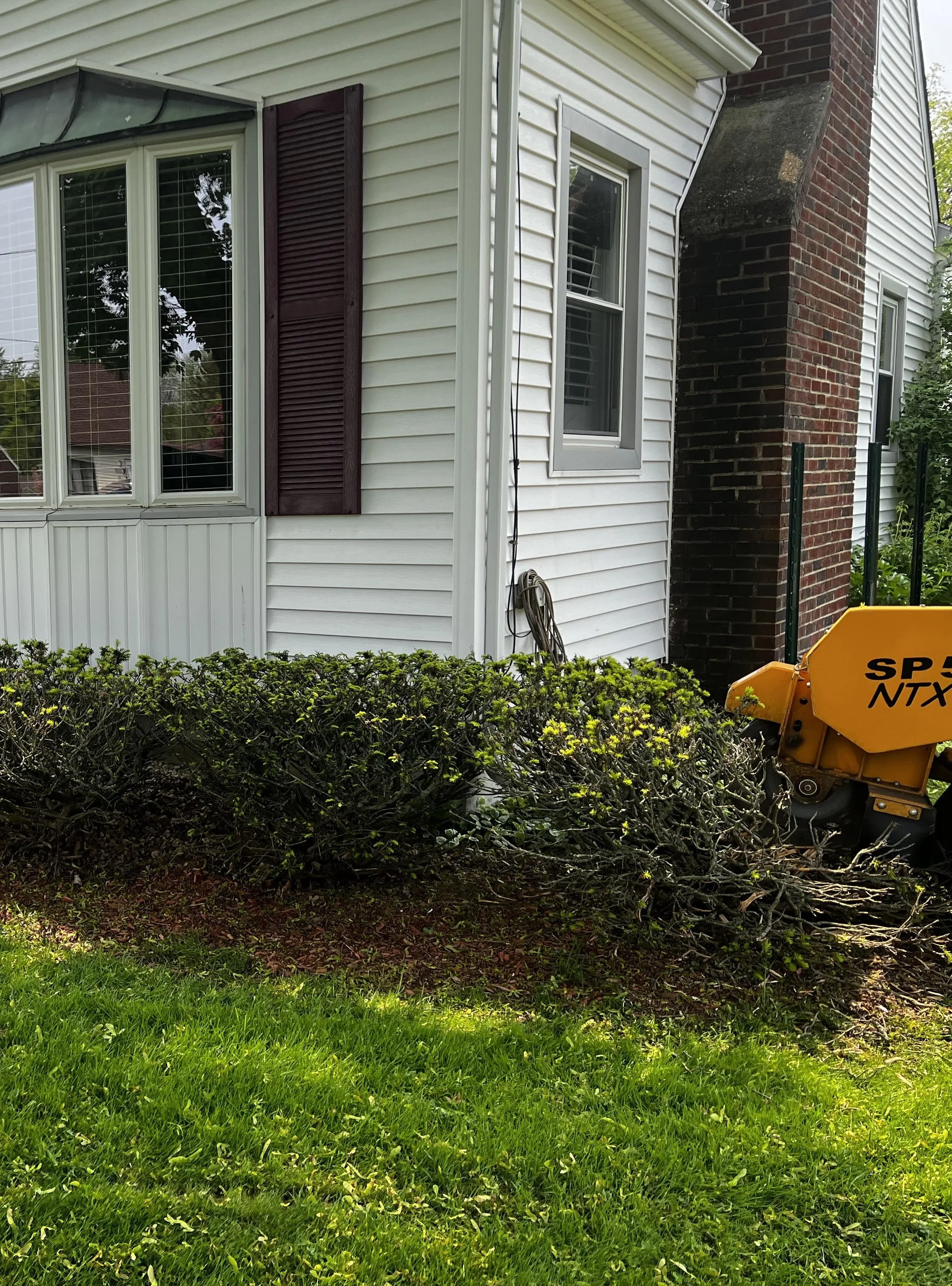 A house with white siding and a brick chimney, a window with shutters, and a trimmed shrub in the lawn. There is a yellow landscaping cutter on the right side.