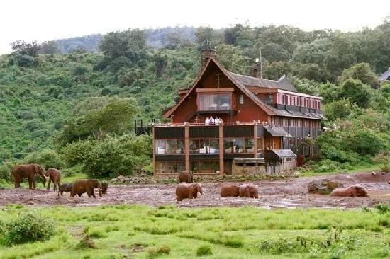 10-Day Kenyan Odyssey: Safari Splendours and Urban Charms