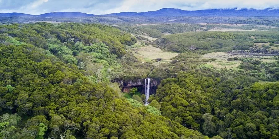 aberdares-kenya.jpg