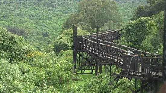 Aberdare-national-park-Aberdare-national-park-Kenya-the-ark-Aberdare-national-park-Aberdare-ventures-Aberdare-national-park-animals13.jpg