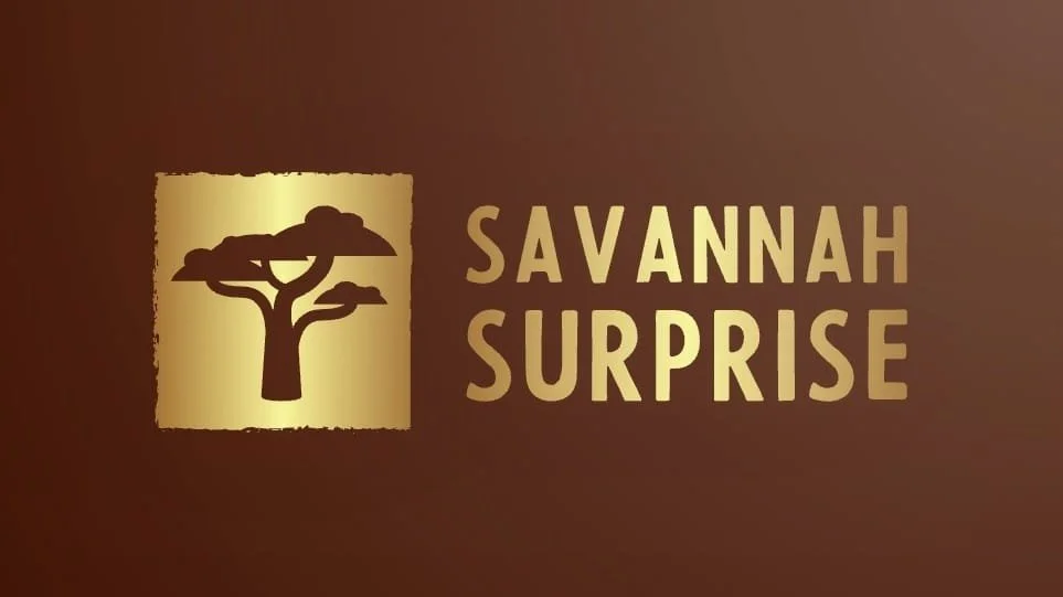 Savannah Surprise Travel Consultants