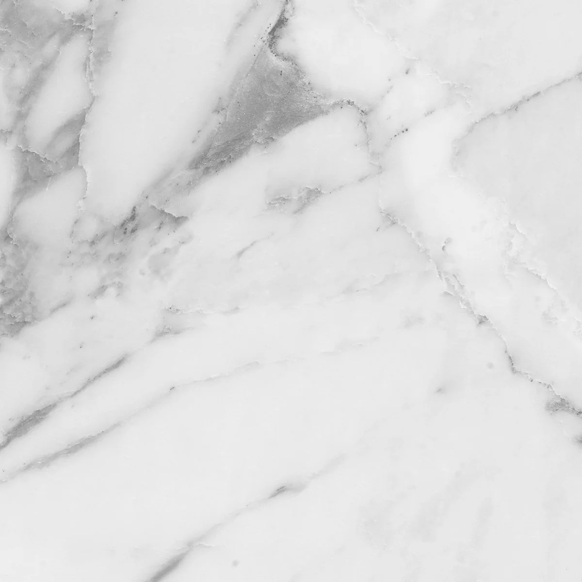 Calacatta White