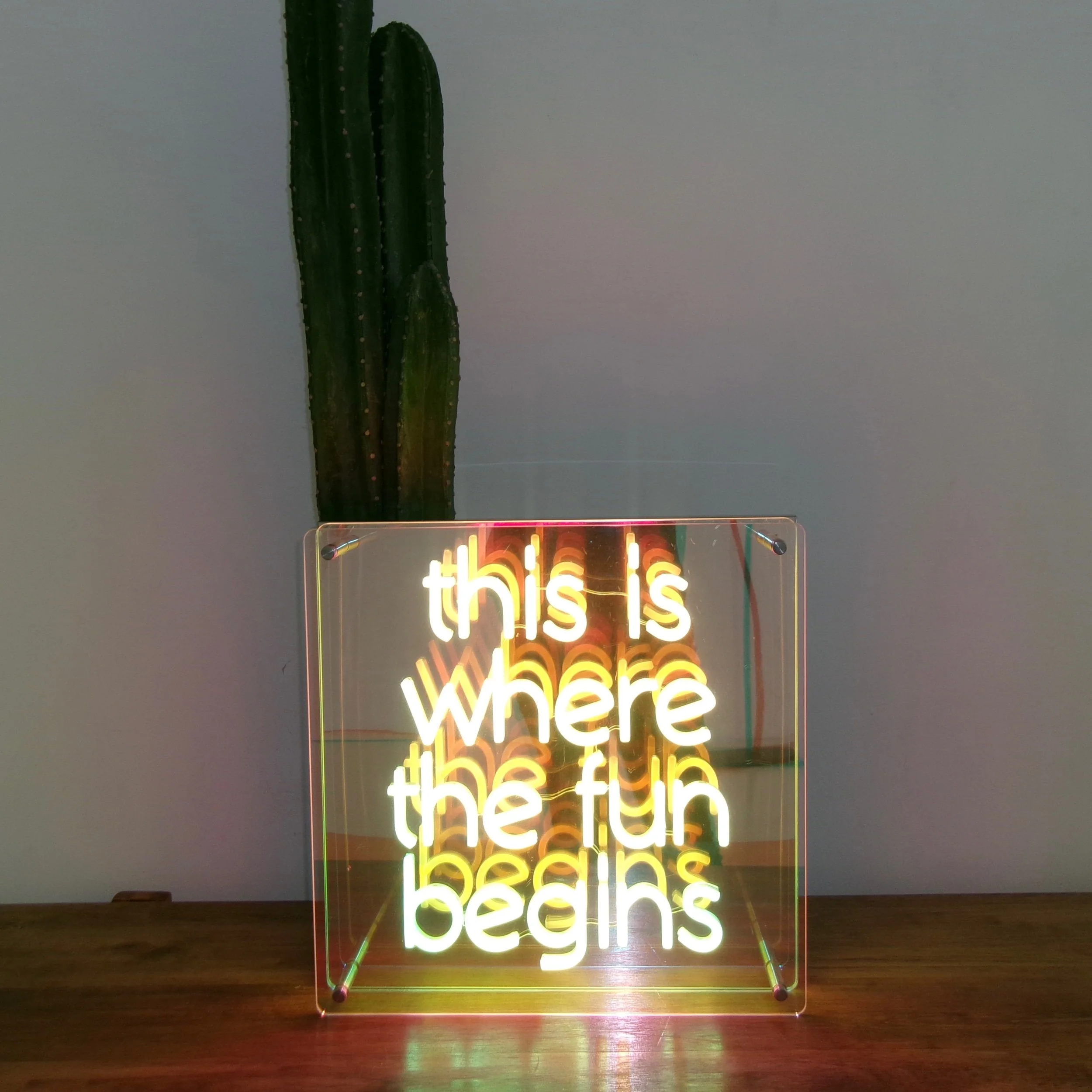 This is Where the Fun Begins LED