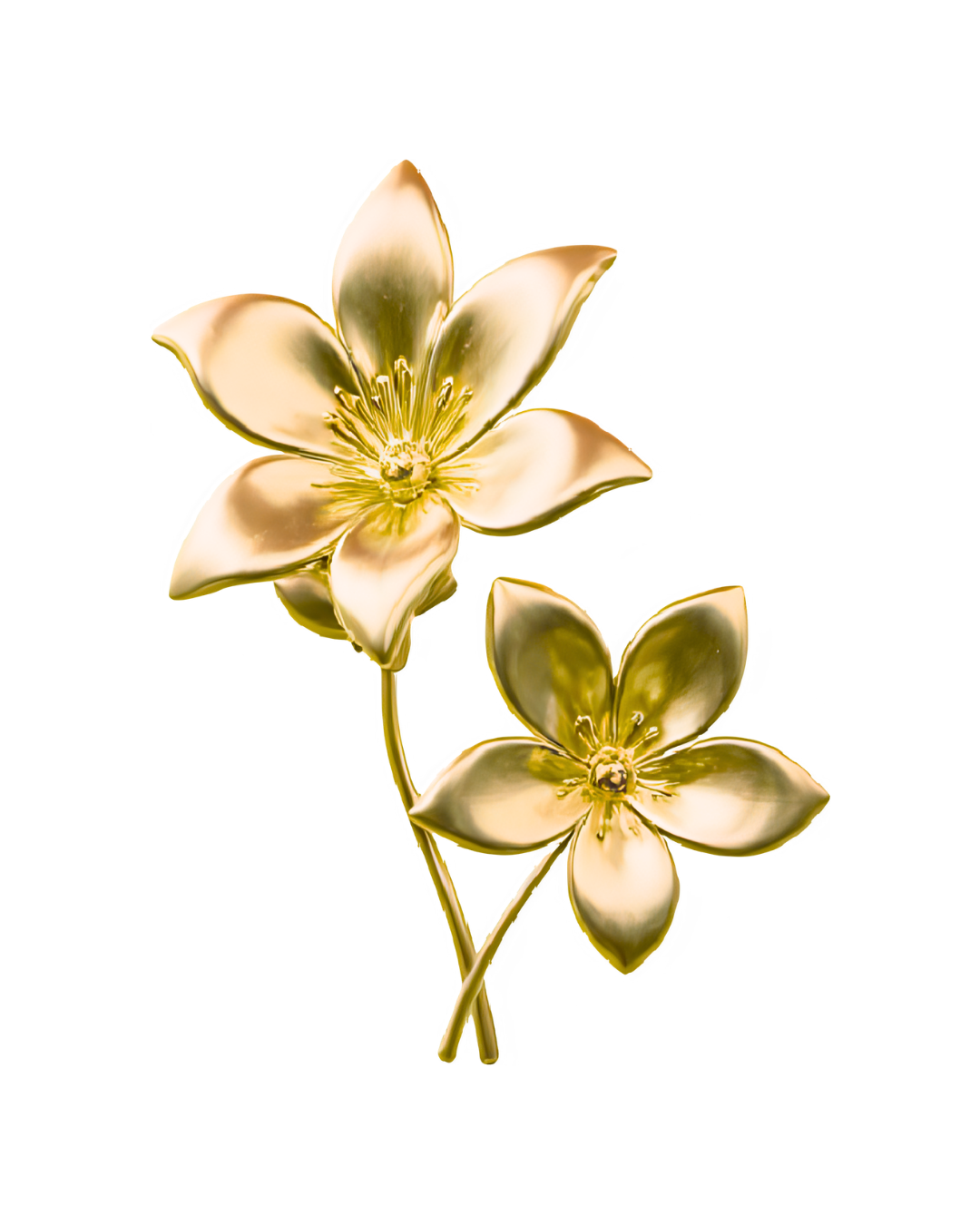 Two golden-colored flowers with petals and central stamen, isolated on black background.