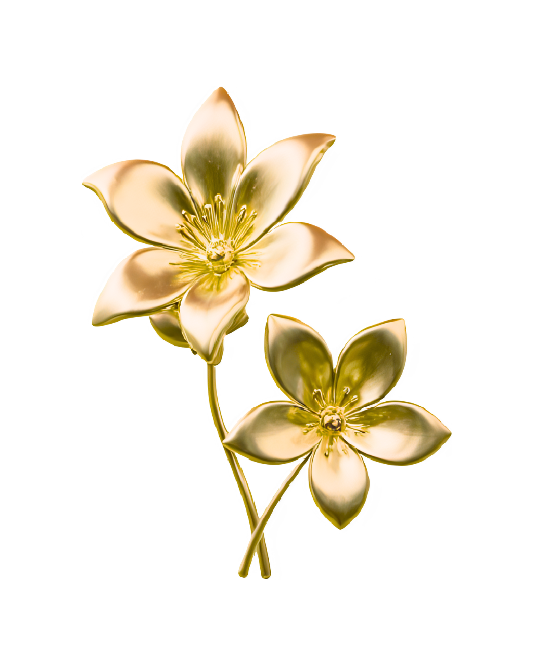 Two gold-colored flowers with detailed petals and stems on a black background.