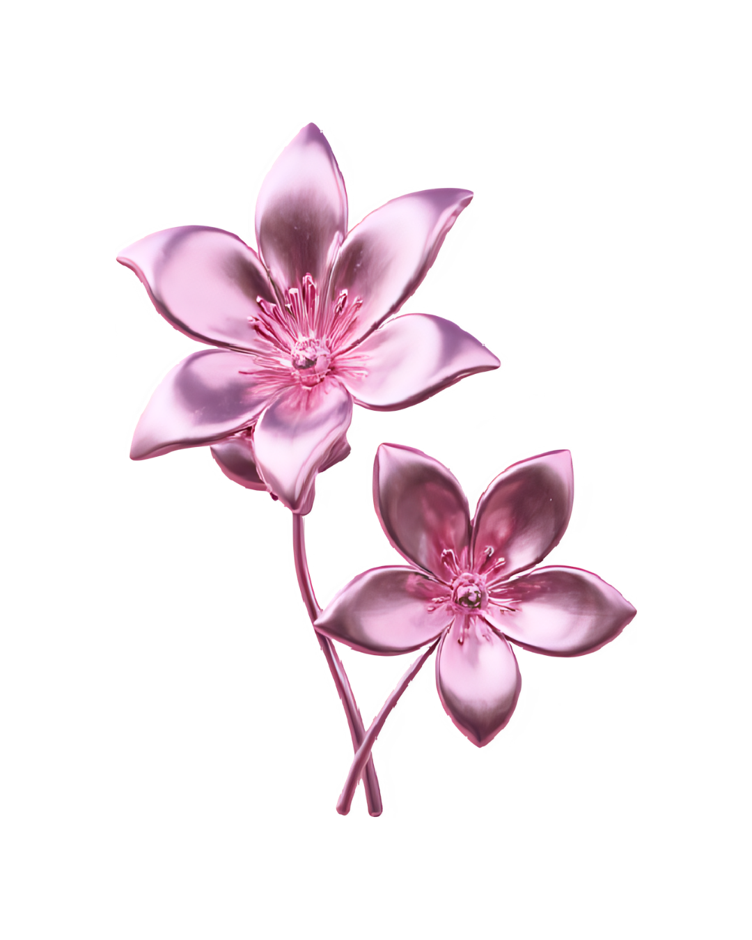 Two pink flowers with shiny petals and detailed stamens against a black background.