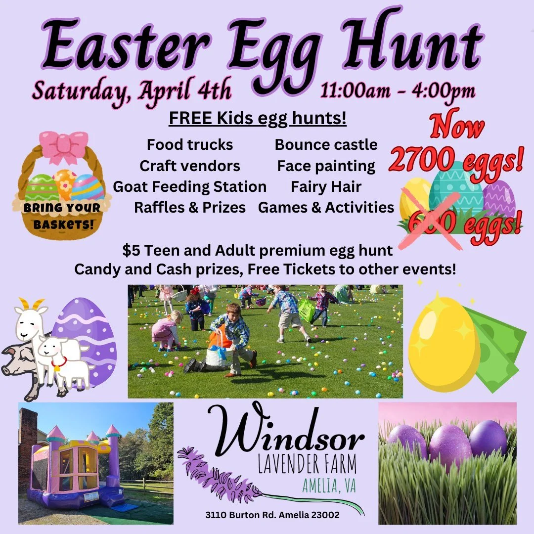 Windsor Lavender Farm Easter Egg Hunt