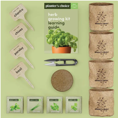 Screenshot 2026-02-13 171121.png