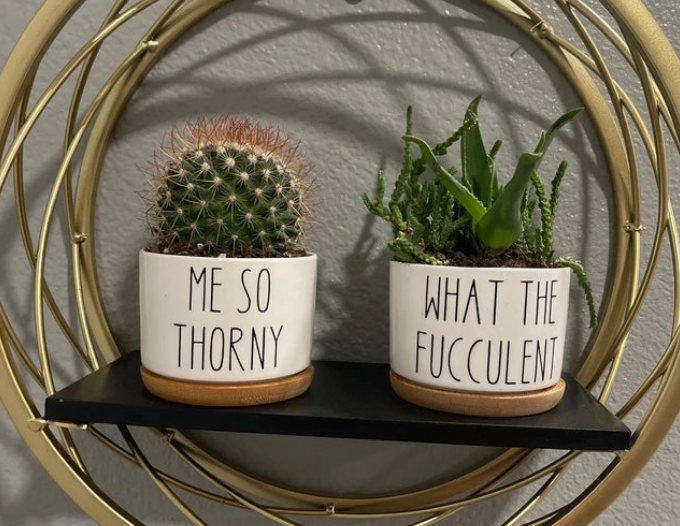 Screenshot 2026-02-08 225823.png