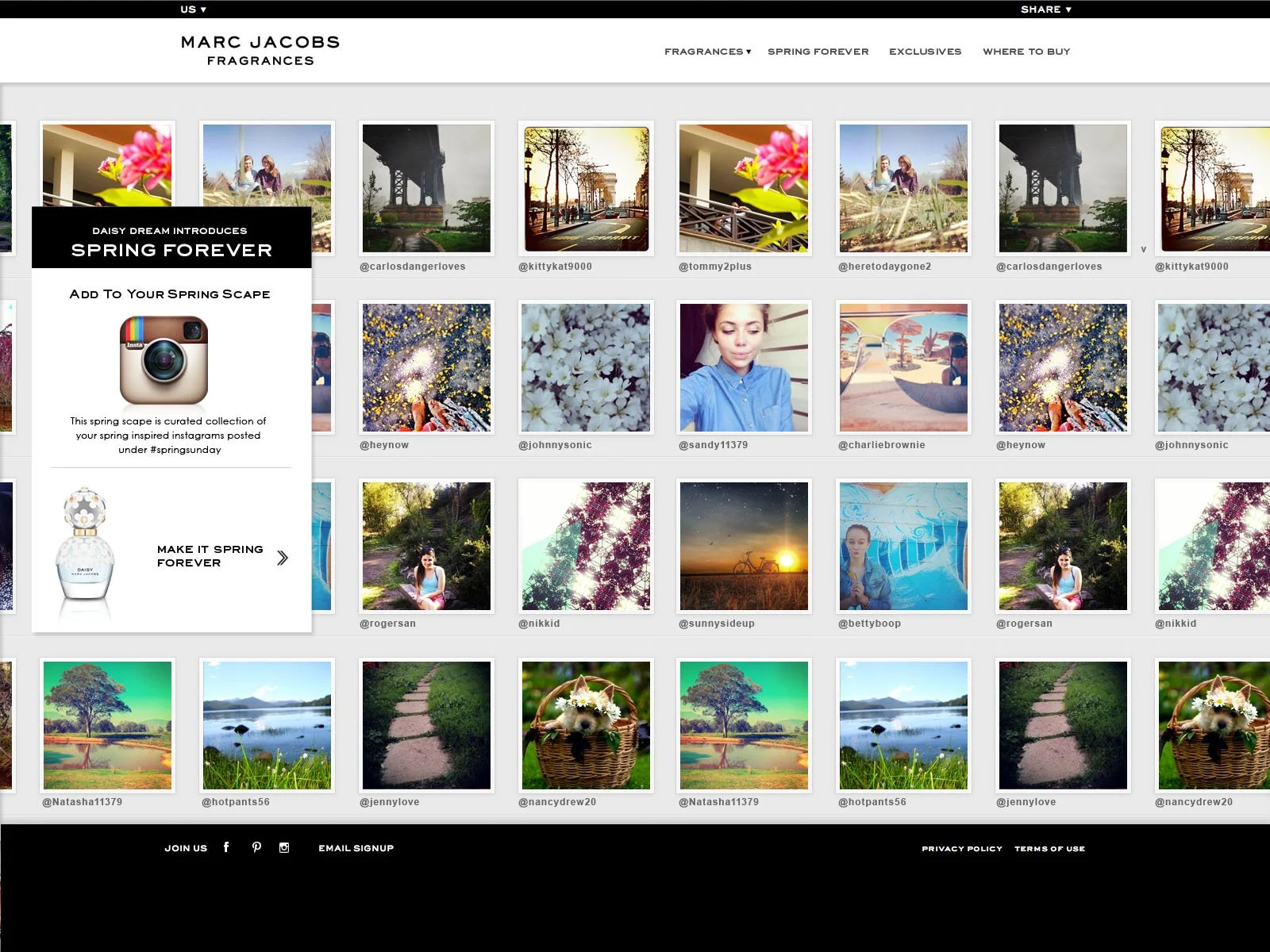 MJ_Springscape_Page_0005_Layer-Comp-4.jpg