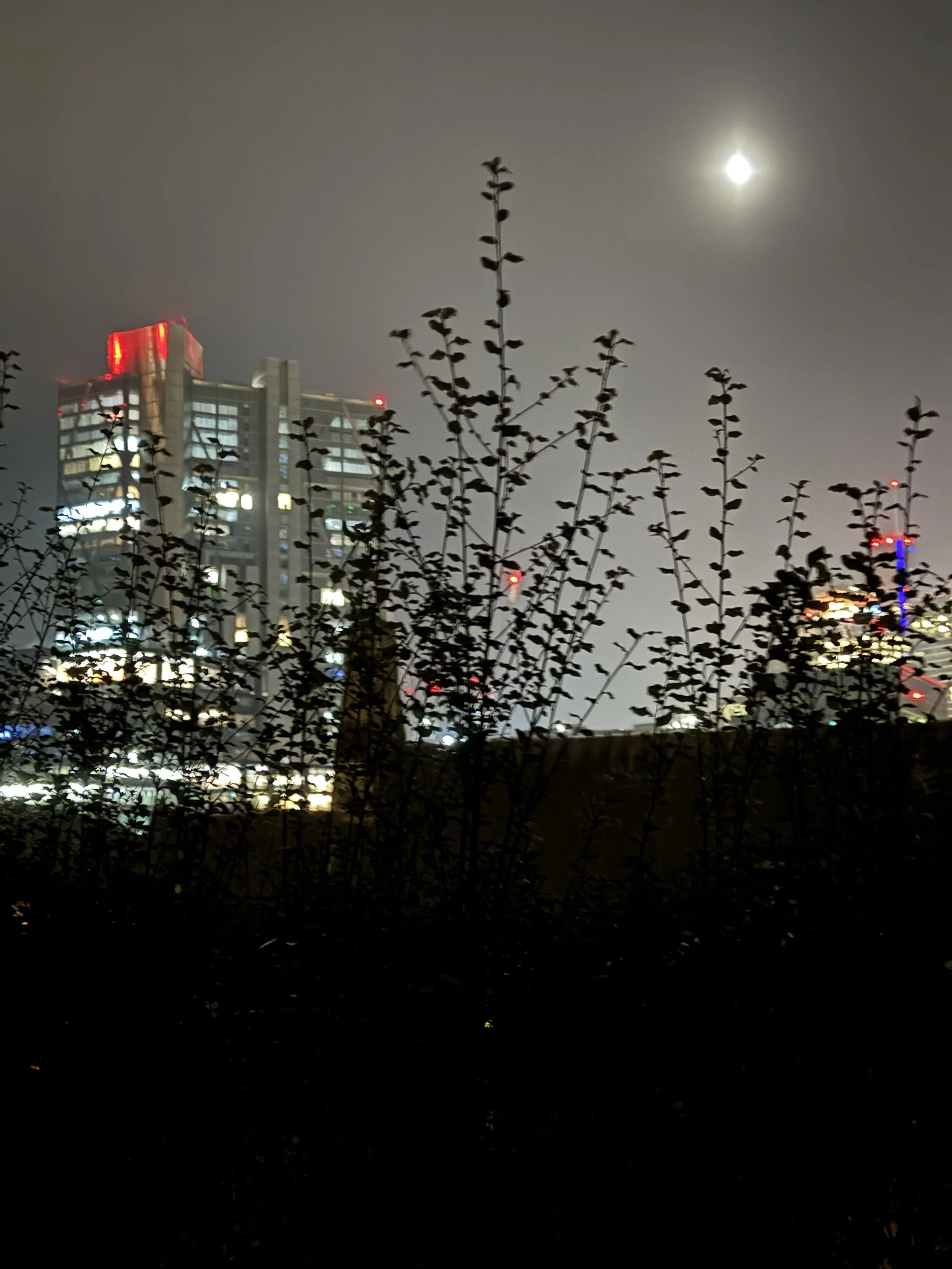 IMG_0021.jpeg