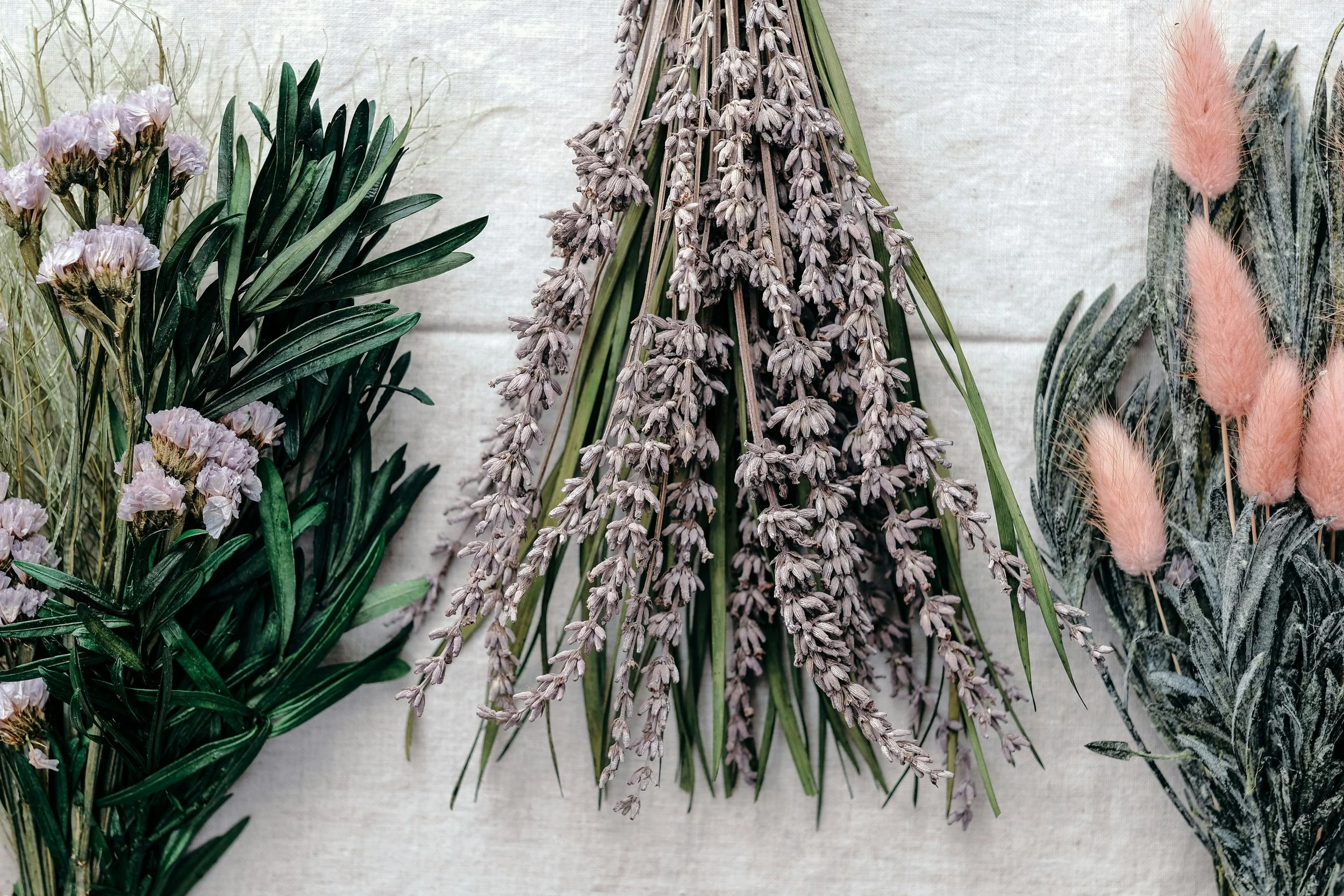 An arrangement of dried lavender, pink bunny tails, and other dried flowers and grasses against a light neutral background.