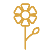 A stylized gold outline of a flower with a circular center and a single leaf on a stem.