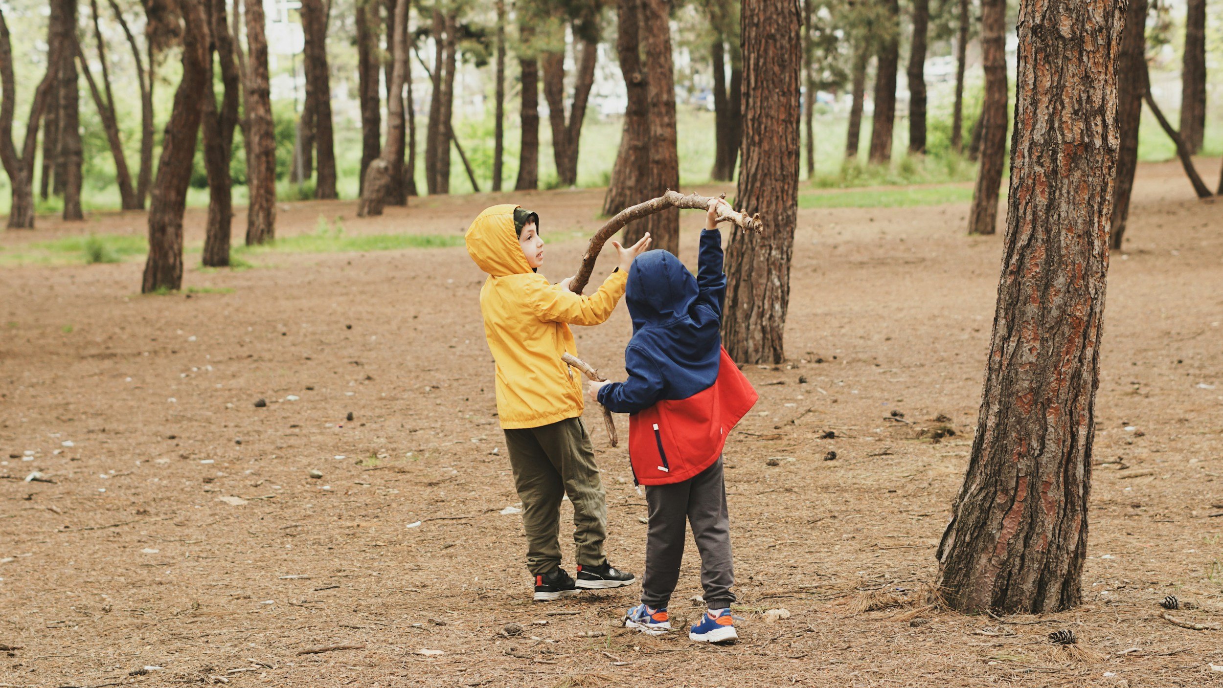 Two young children dressed in colorful jackets playing with a tree branch in a forest with a dirt ground and tall trees.
