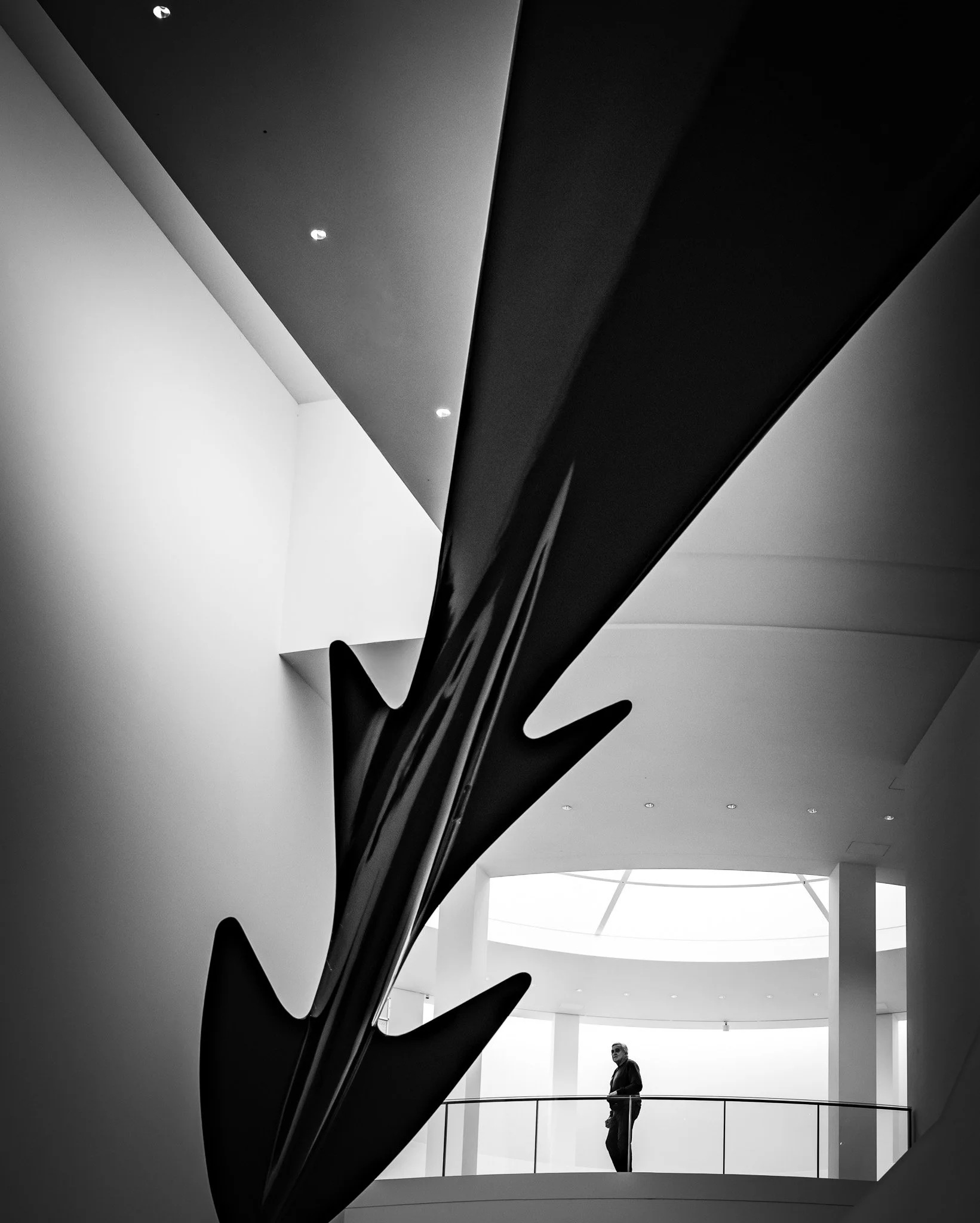 L1001069.jpg
