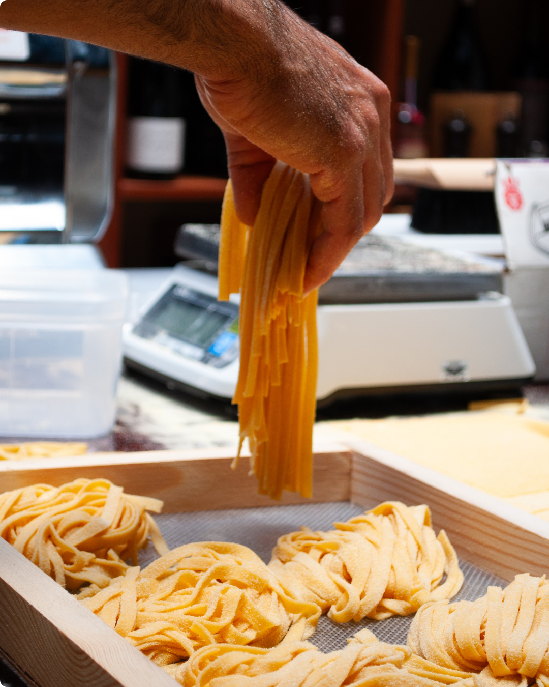 Untitled design (14).png