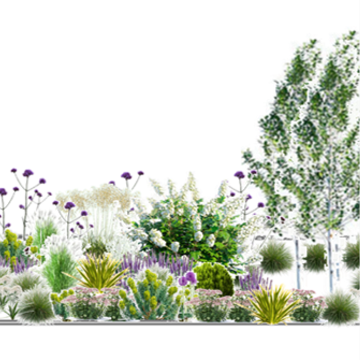 ... and looking from the apartments towards the road