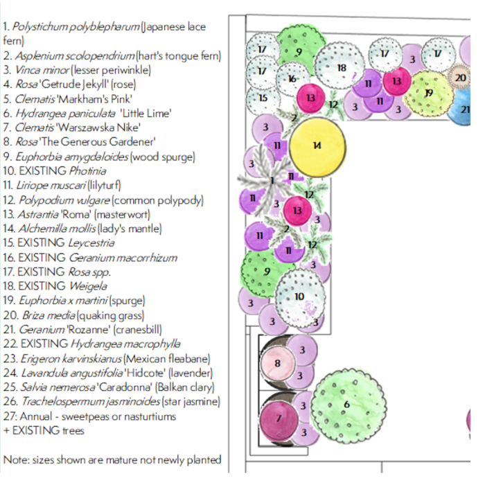 A section of the detailed planting plan showing new and retained plants