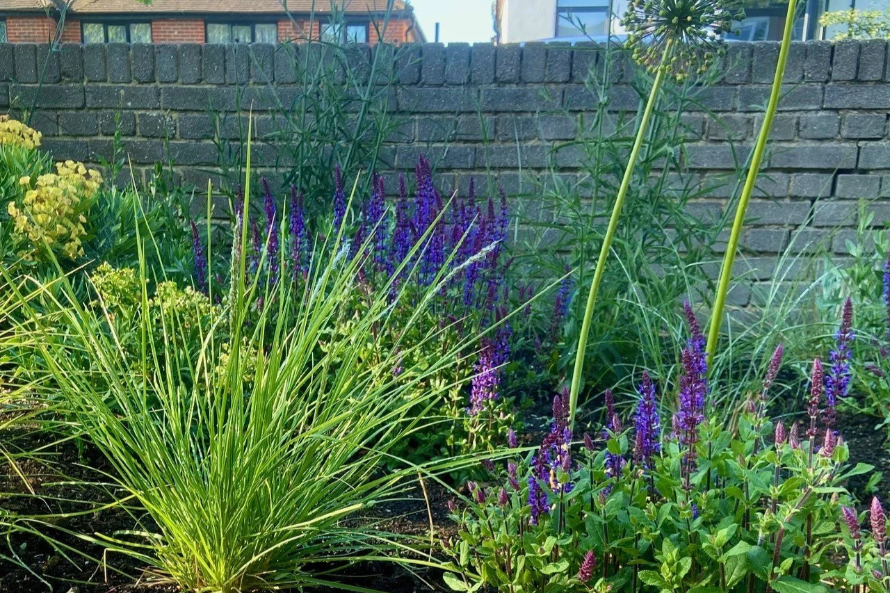 Hove communal garden