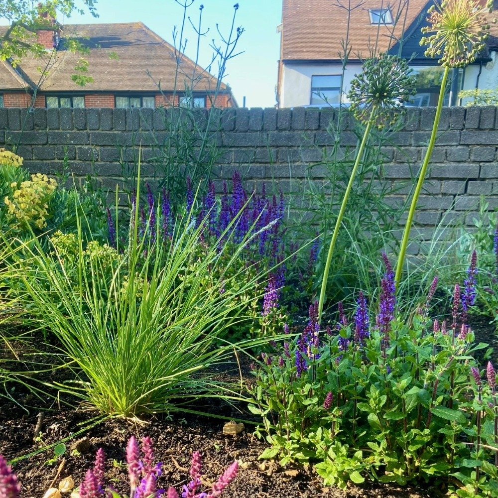 Planting starting to fill in by midsummer