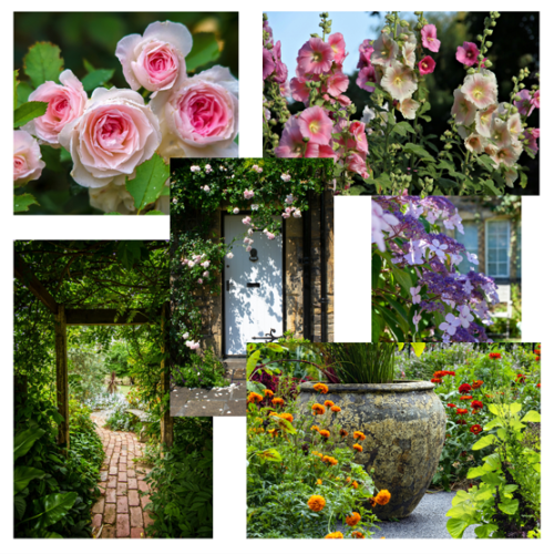 Cottage garden inspiration