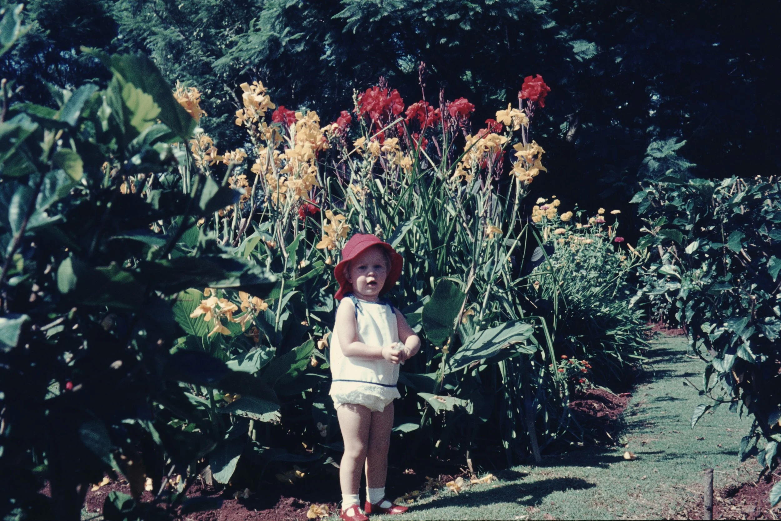 The designer as a small child in Zimbabwe in her parents' beautifully designed garden