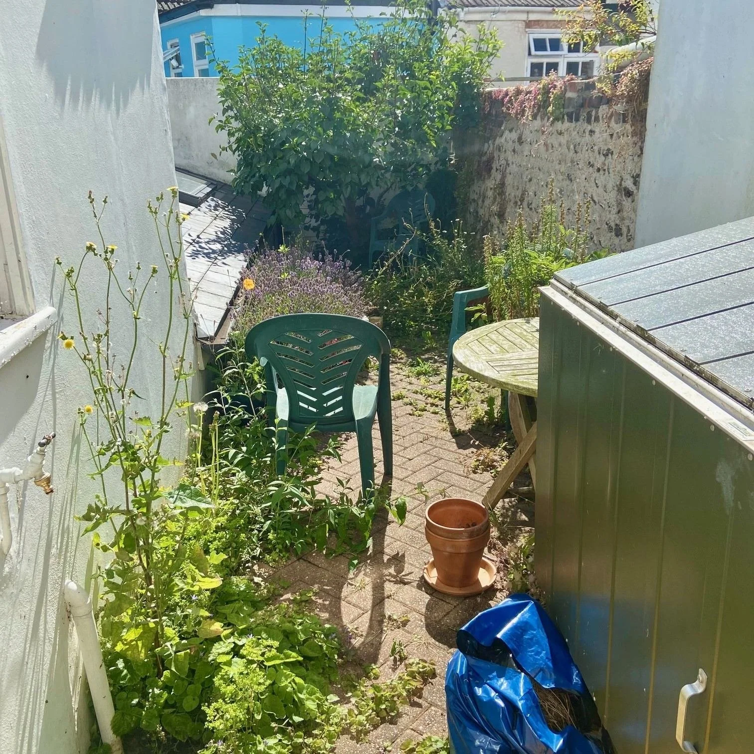 Before - weedy and overgrown