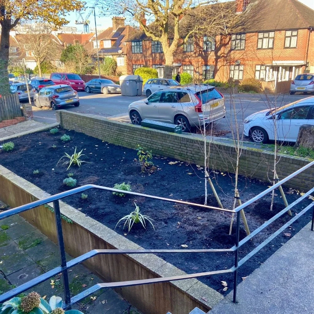 Phase 1 - autumn planting - trees, shrubs and bulbs