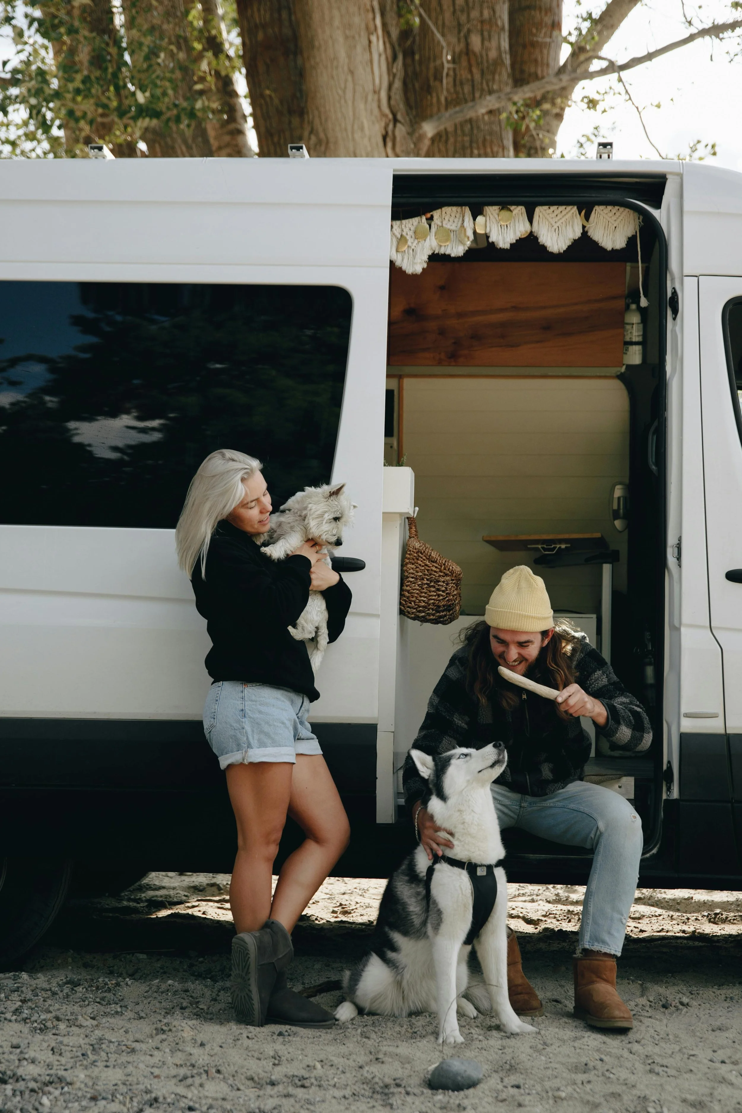 Vanpod Pic 2.jpg