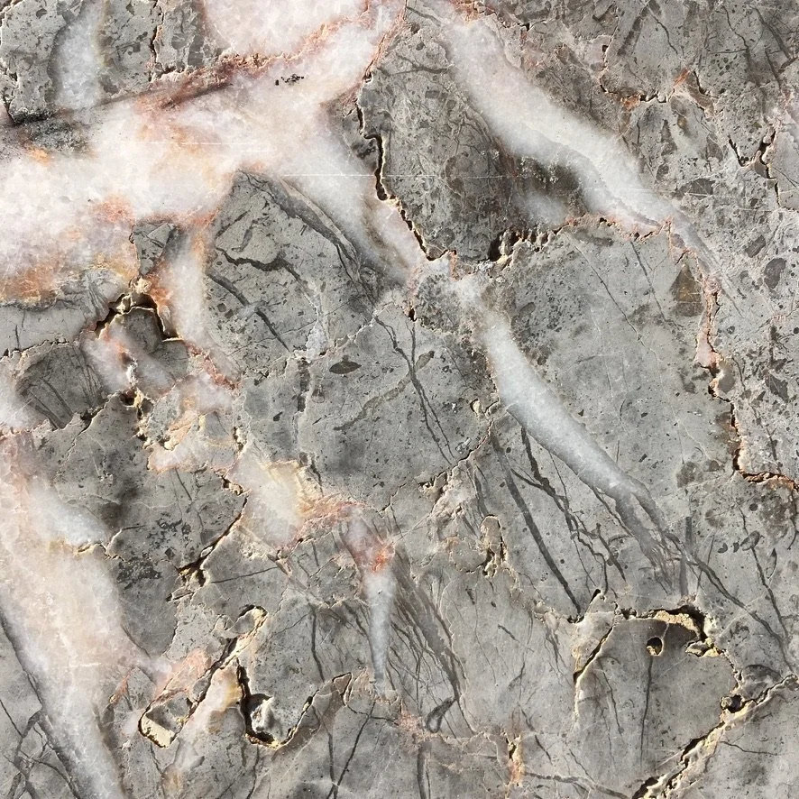 Algol: The Severed Mind and the Living Whole