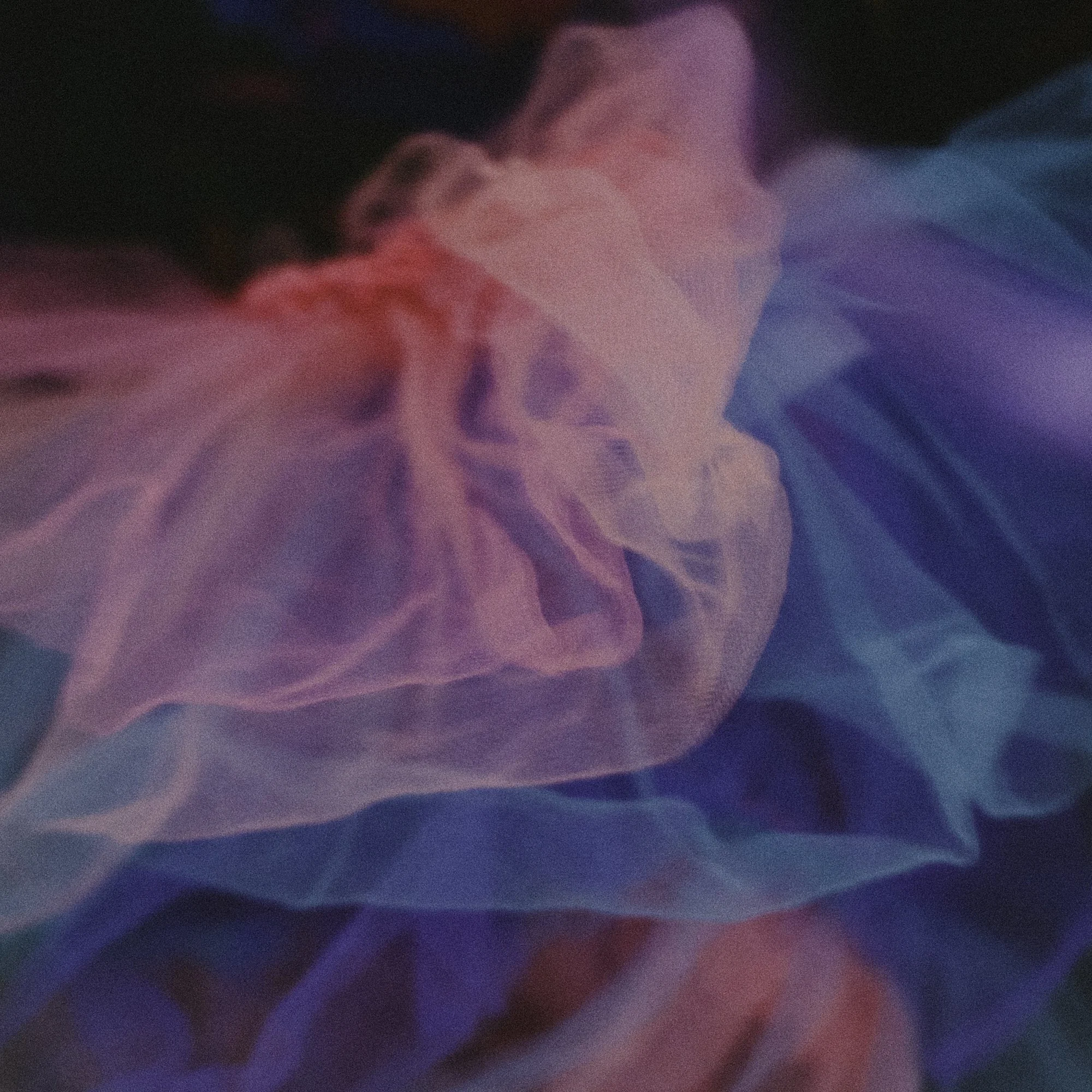 nasifeh tutu-07121.jpg