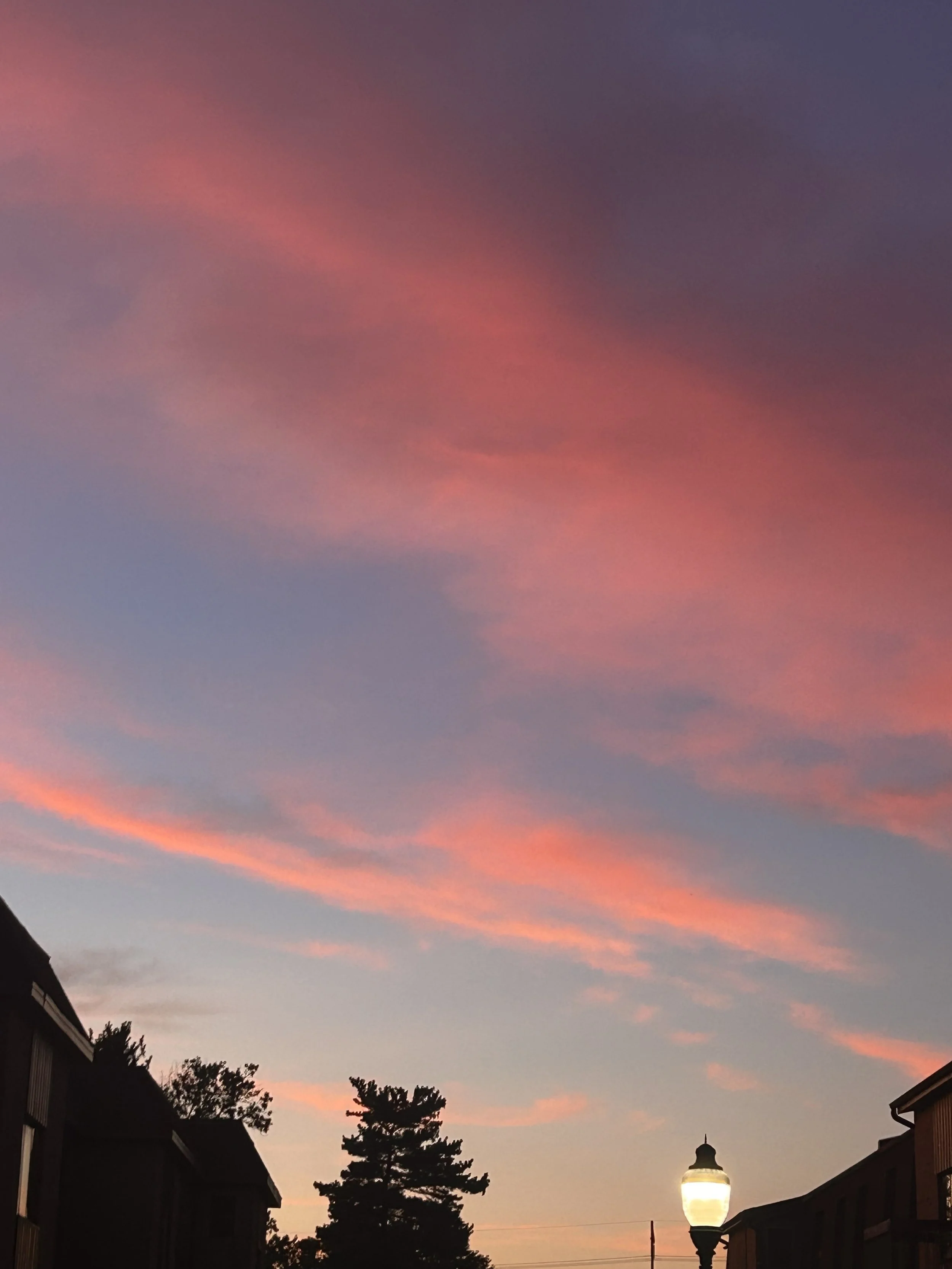 Groups, Teams & Organizations