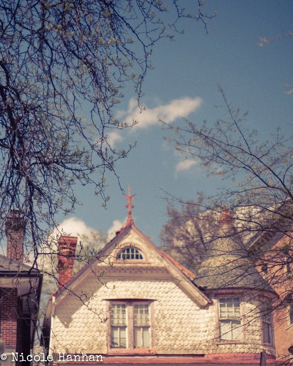 Individual Chart Diagnostic + Divination & Tarot (Written)