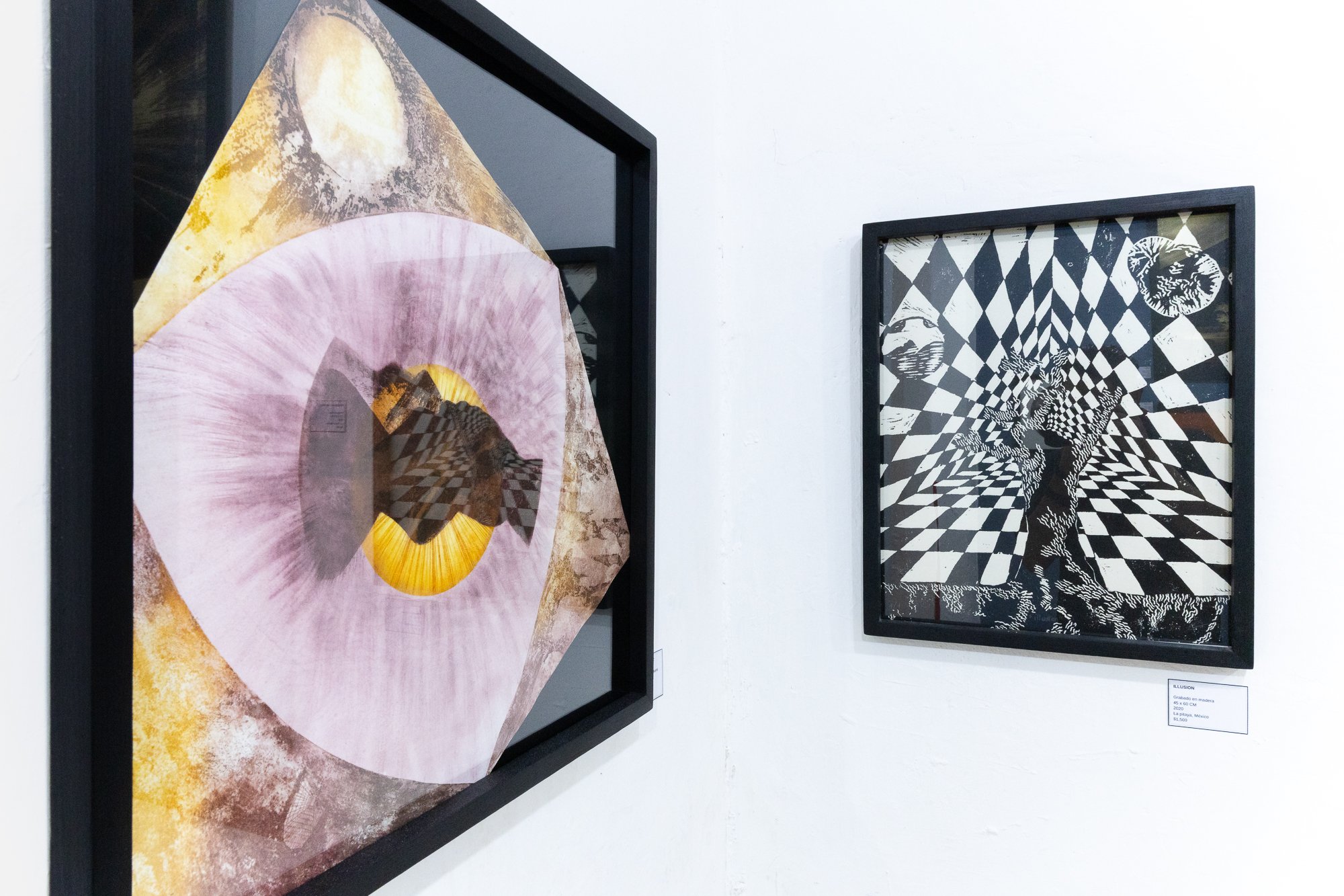 Dos cuadros enmarcados con arte abstracto y óptico en una galería, uno con formas coloridas y otro en blanco y negro con patrones geométricos y figuras de animales.