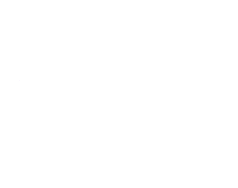 Emisphère: el universo de Emilie