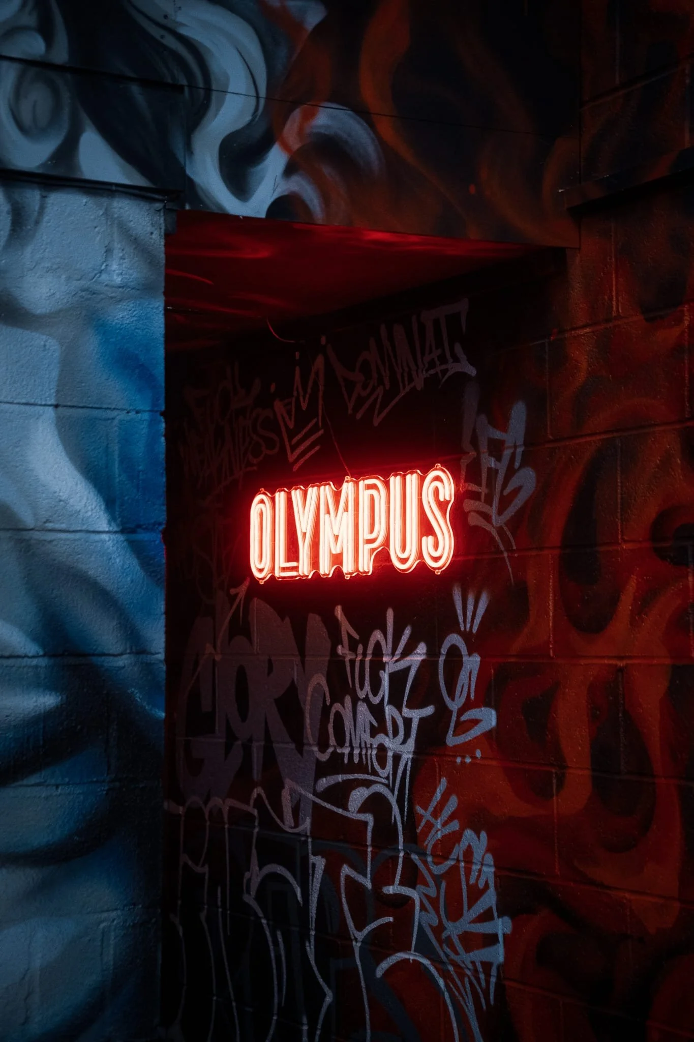 Neon sign with the word 'OLYMPUS' on a graffiti-covered brick wall.