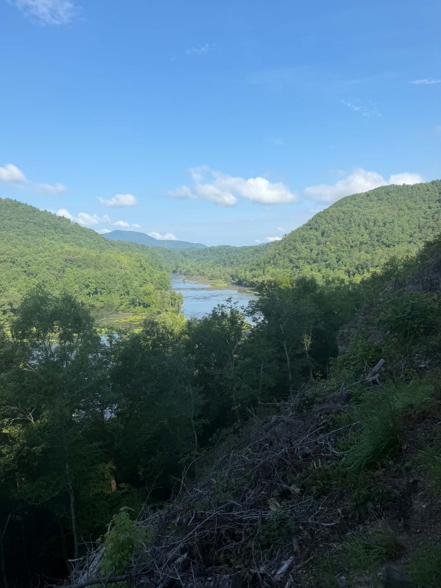 Slowly but Surely Coming Back - Grindstone 100M Prep (Week 8)