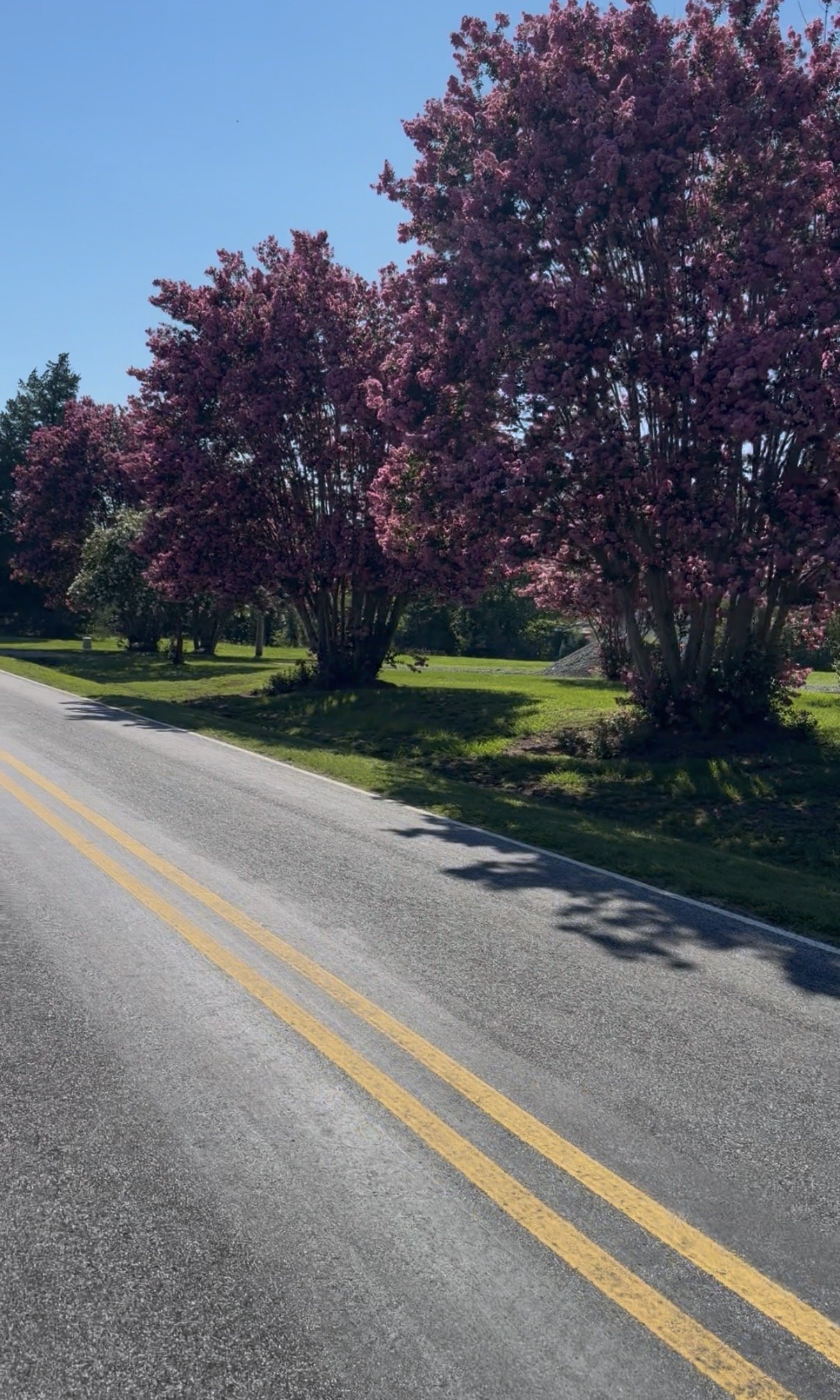 Time Moves Fast - Week 10 Training for Grindstone 100 Miler