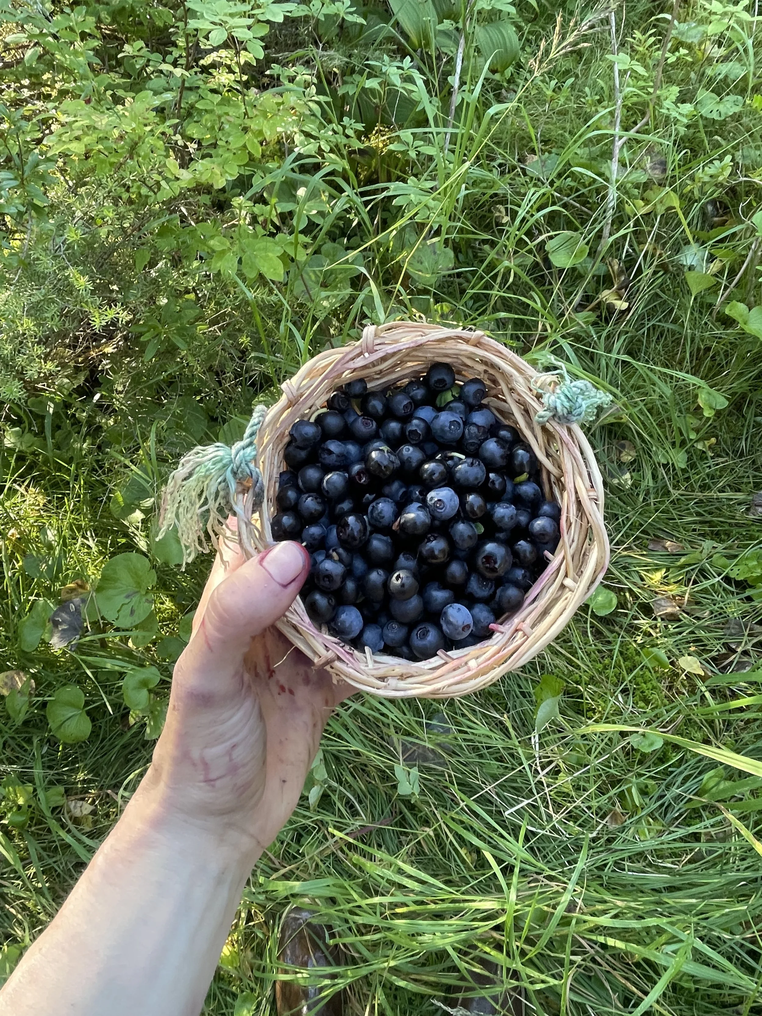 Winnowing: A Seasonal Missive (FALL 2026)