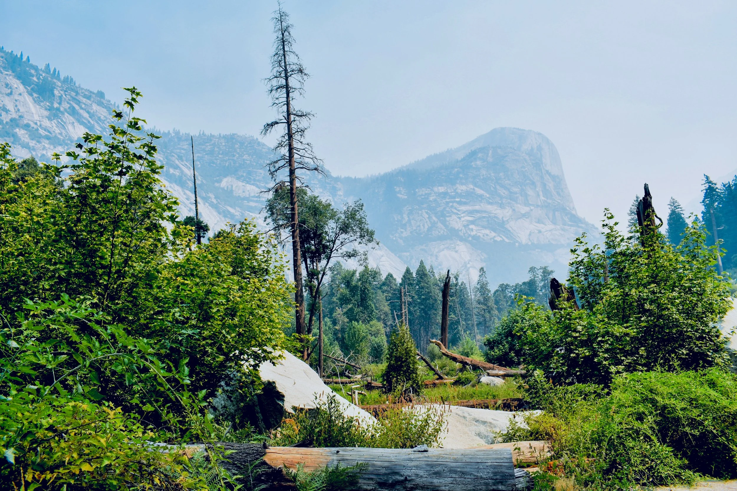 A mountainous forest landscape with green trees, fallen logs, and a prominent granite formation in the background, under a partly cloudy sky.