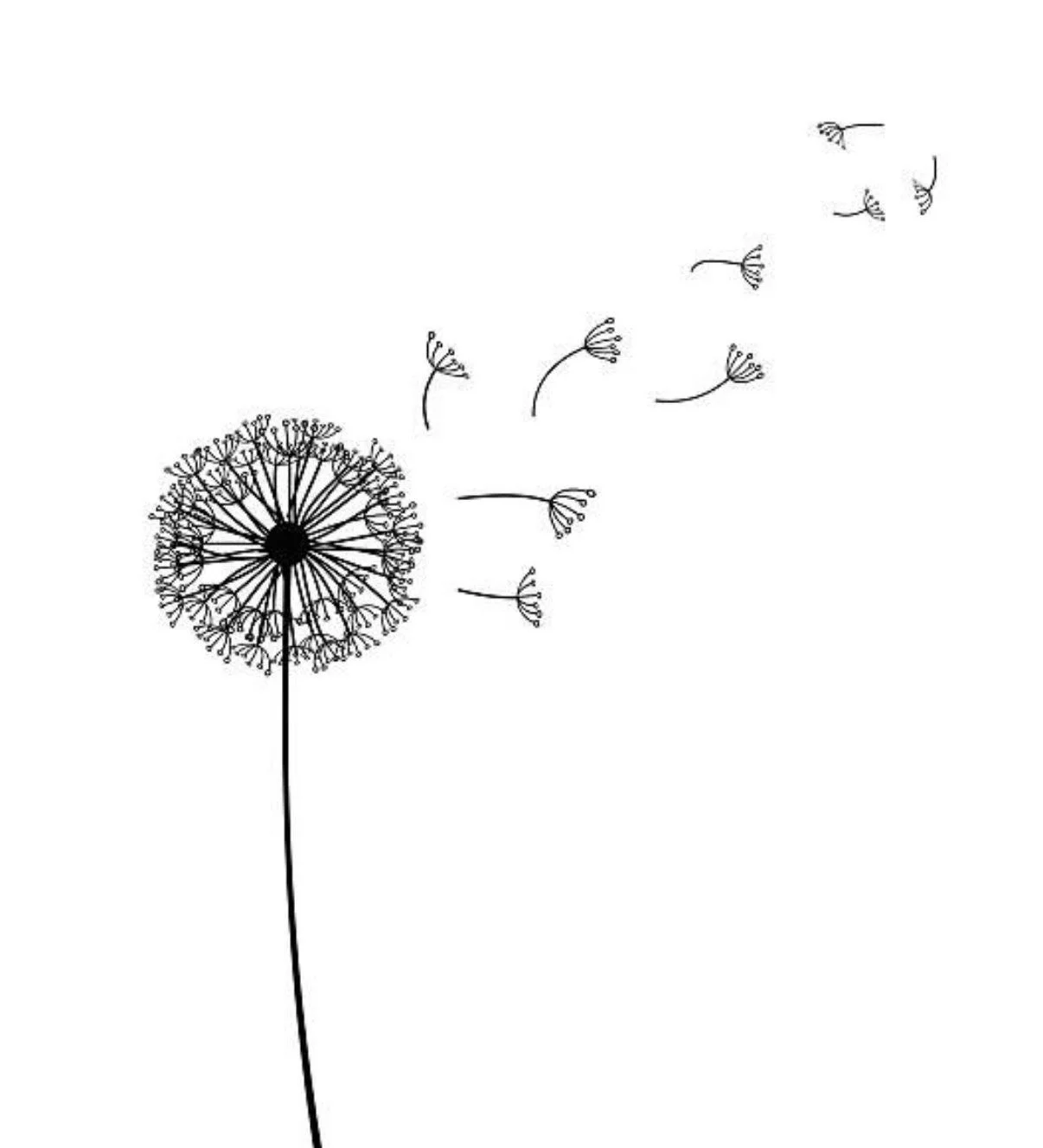Black and white illustration of a dandelion seed head with some seeds dispersing in the wind.