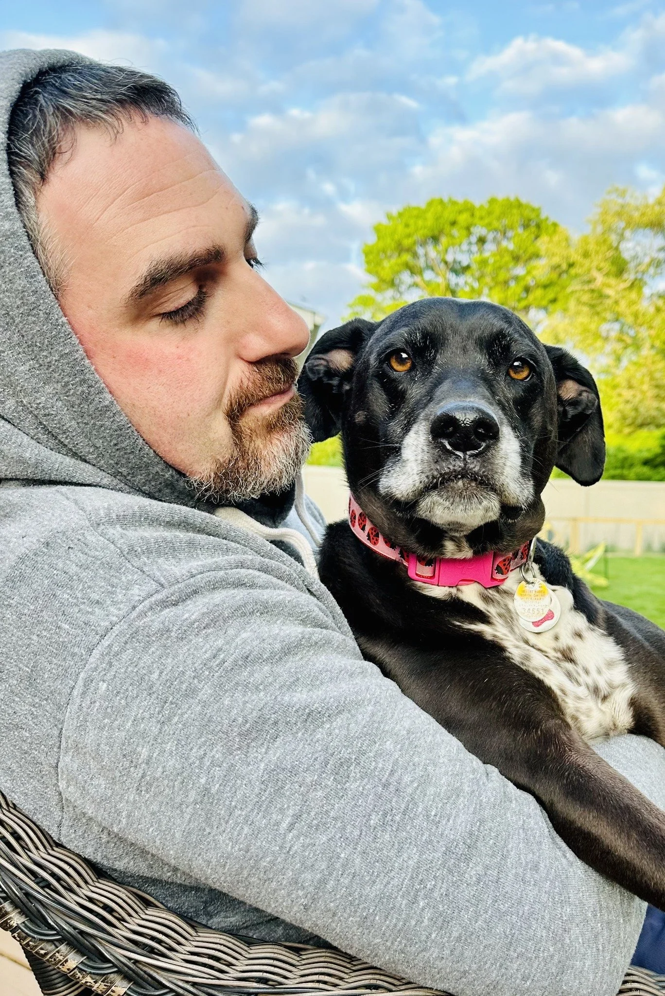 A man with a beard and mustache, wearing a gray hoodie, holding a black and white dog with a pink collar outdoors on a bright day with blue sky and green trees in the background.