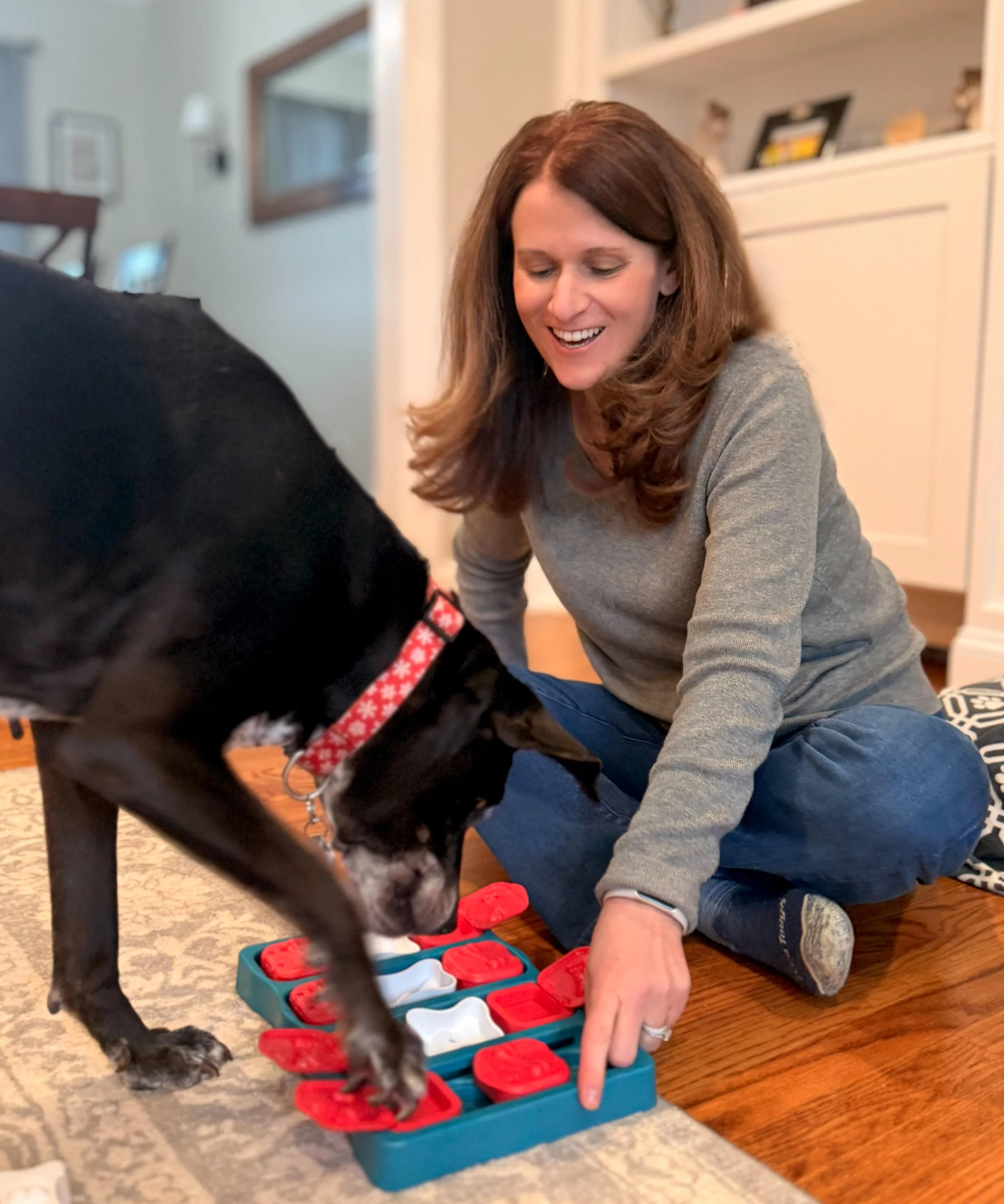 Woman and dog playing a game with red and white pieces on a blue tray on the floor.