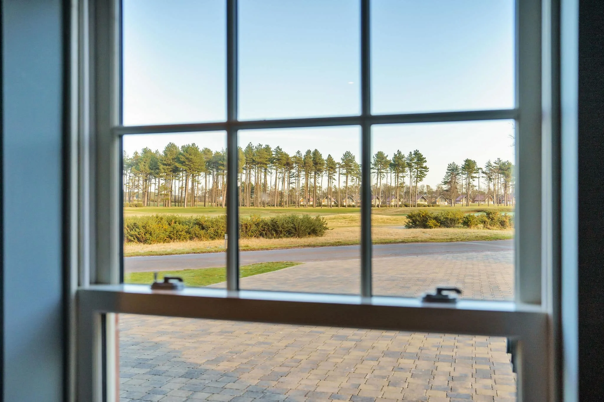 View through a window showing a lawn, bushes, a paved driveway, and a distant line of tall pine trees under a clear blue sky.