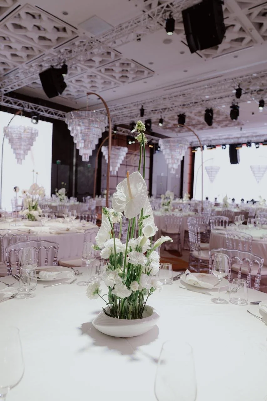 WhatsApp Image 2026-03-12 at 09.02.57 (3).jpeg