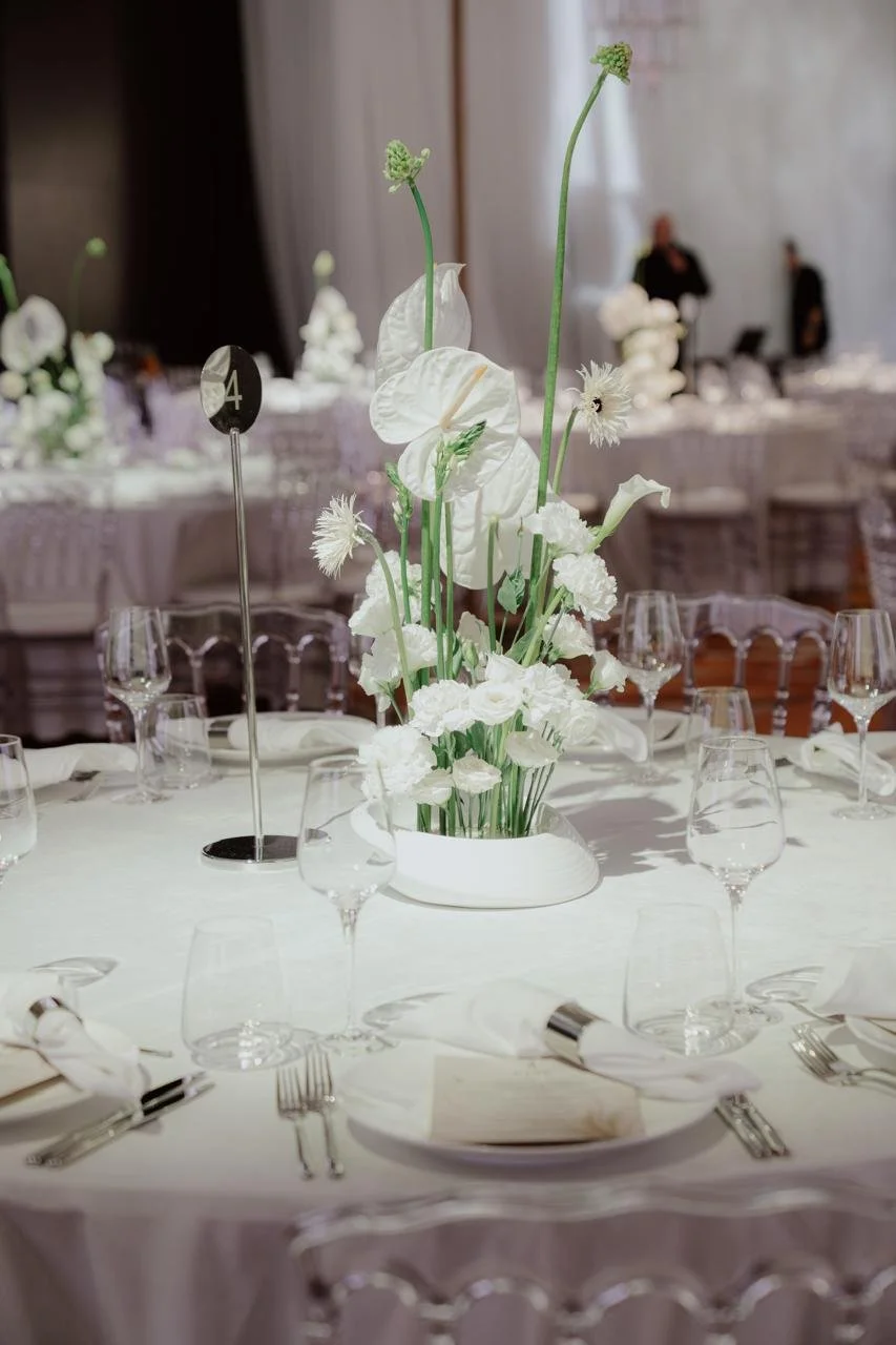 WhatsApp Image 2026-03-12 at 09.02.57.jpeg