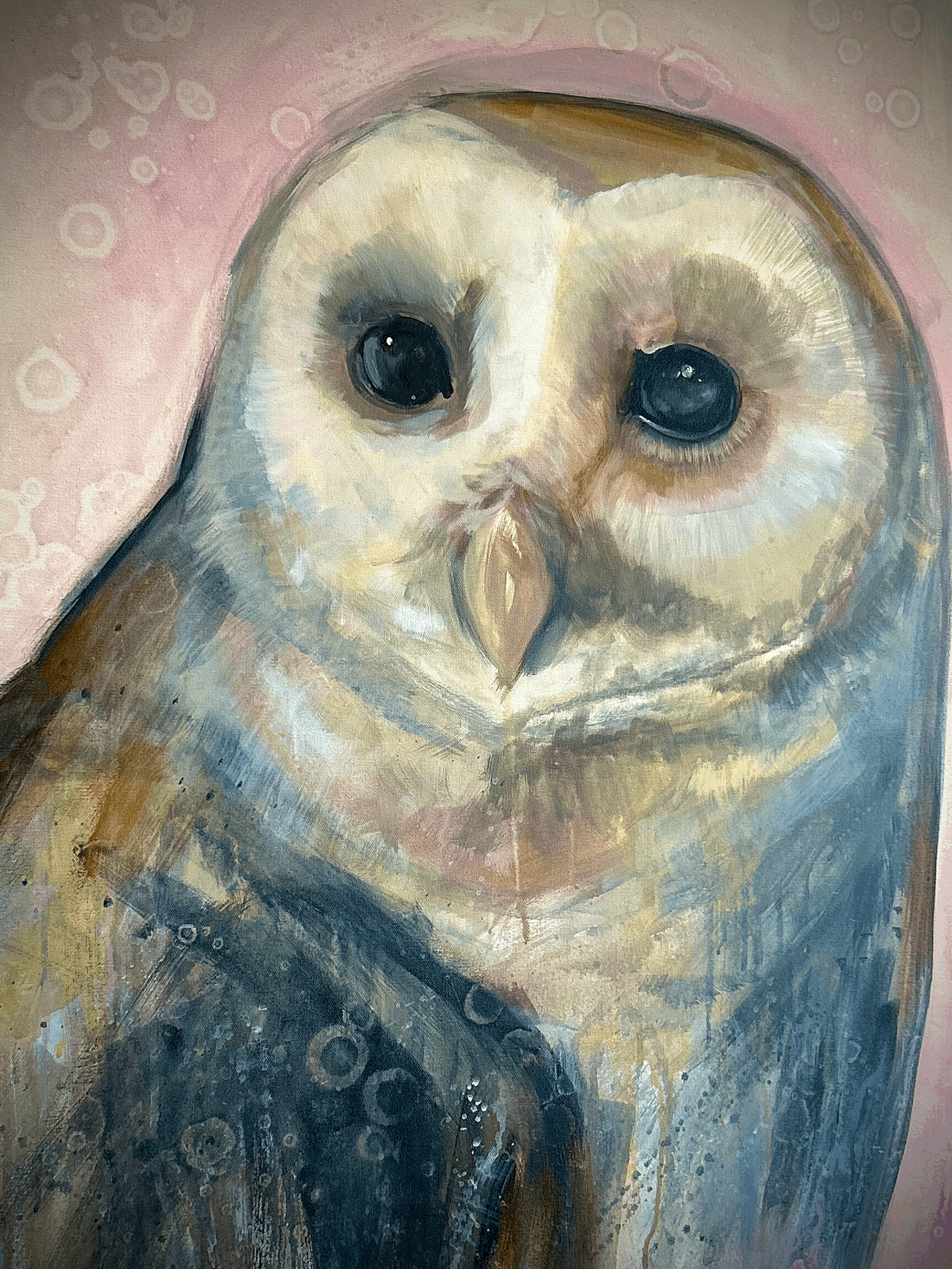 Owl