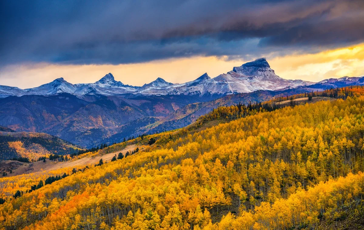 Snow-capped mountains under a dark, cloudy sky with a golden-hued forest in the foreground.