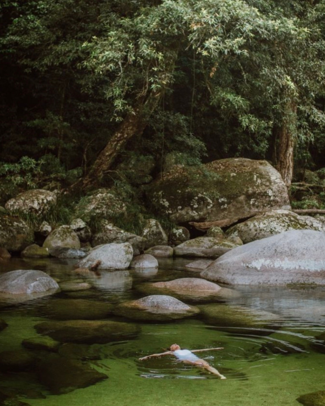 Trees Are Healers – The Magic of Shinrin Yoku